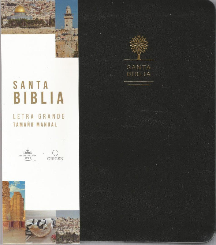 Biblia Reina Valera Letra Grande. Símil Piel Negro