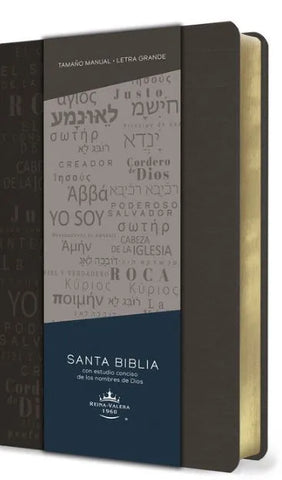 Biblia Rvr 1960 Letra Grande Tamaño Manual, Simil Piel Gris Con Nombres De Dios