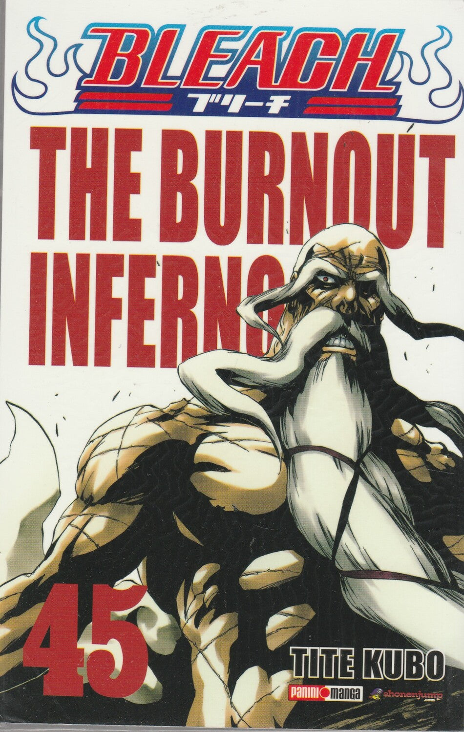 Bleach N. 45