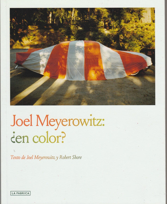 Joel Meyerowitz: ¿En Color?