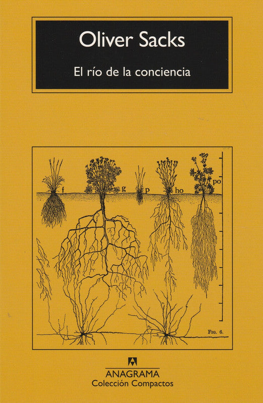 El Río De La Conciencia