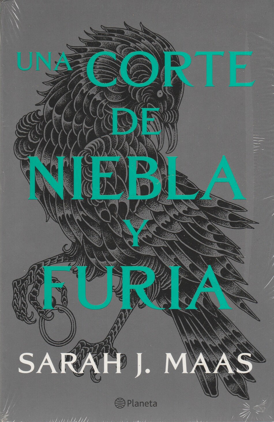 Una Corte De Niebla Y Furia