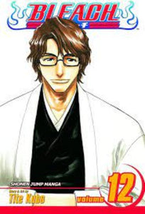 Bleach Vol 12