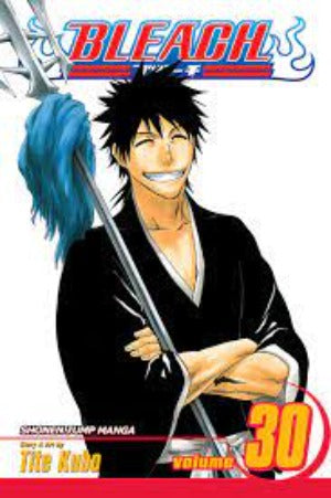 Bleach Vol 30