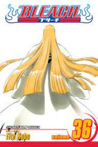 Bleach Vol 36