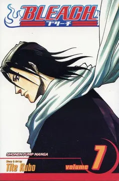 Bleach Vol 7