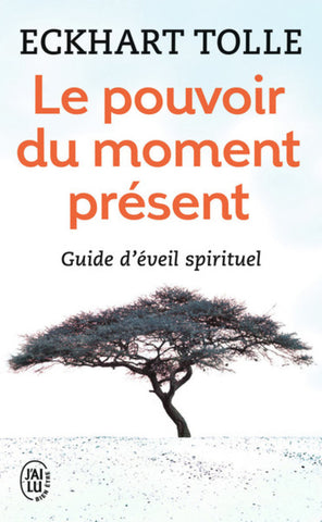 Le Pouvoir Du Moment Present : Guide D'Eveil Spirituel